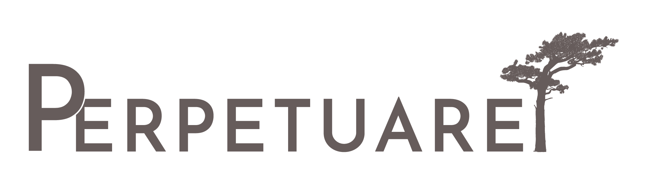 Logo-gris-site