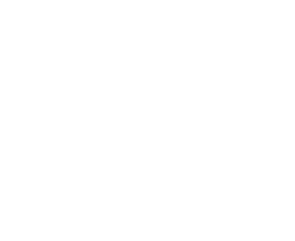 Métier-artisanal-charpentier-travail-du-bois
