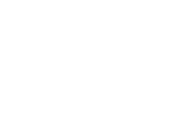 Métier-artisanal-cuir